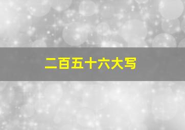 二百五十六大写