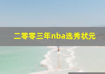 二零零三年nba选秀状元