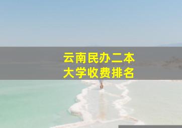 云南民办二本大学收费排名