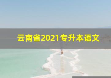 云南省2021专升本语文