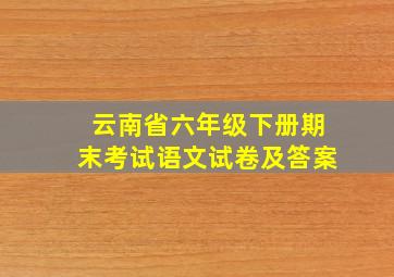 云南省六年级下册期末考试语文试卷及答案