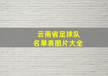 云南省足球队名单表图片大全