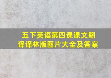 五下英语第四课课文翻译译林版图片大全及答案