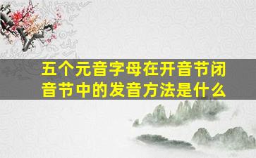 五个元音字母在开音节闭音节中的发音方法是什么