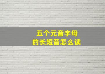 五个元音字母的长短音怎么读