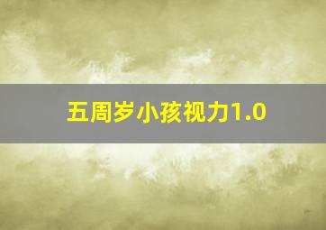 五周岁小孩视力1.0