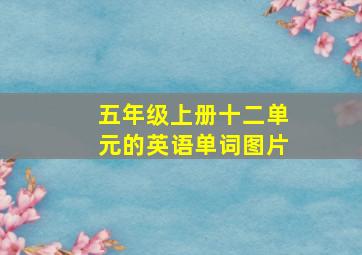 五年级上册十二单元的英语单词图片