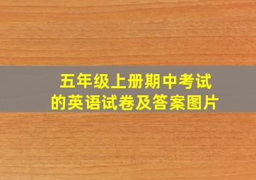 五年级上册期中考试的英语试卷及答案图片