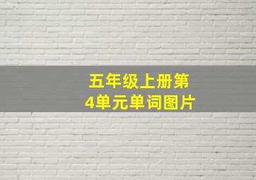 五年级上册第4单元单词图片