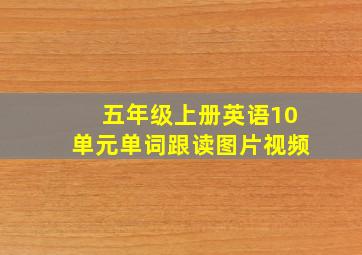 五年级上册英语10单元单词跟读图片视频