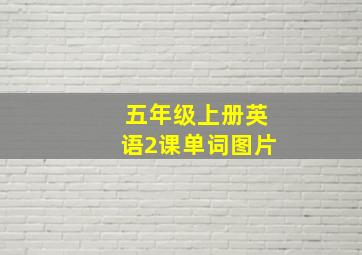 五年级上册英语2课单词图片