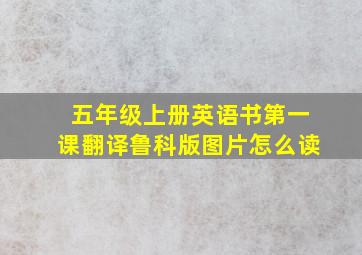 五年级上册英语书第一课翻译鲁科版图片怎么读