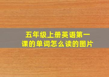 五年级上册英语第一课的单词怎么读的图片