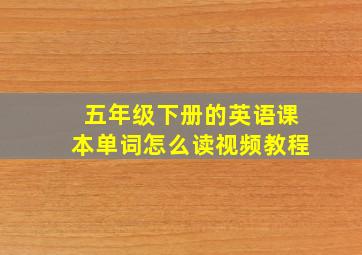 五年级下册的英语课本单词怎么读视频教程