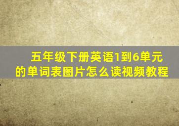 五年级下册英语1到6单元的单词表图片怎么读视频教程