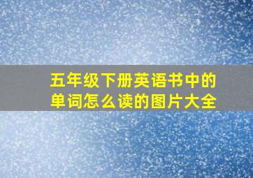 五年级下册英语书中的单词怎么读的图片大全