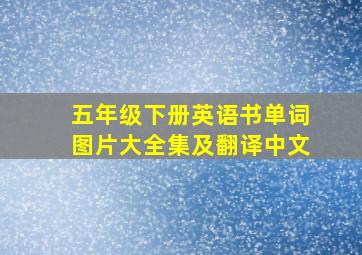 五年级下册英语书单词图片大全集及翻译中文