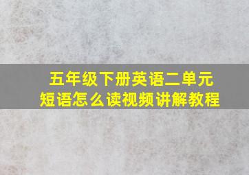 五年级下册英语二单元短语怎么读视频讲解教程