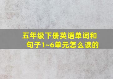 五年级下册英语单词和句子1~6单元怎么读的