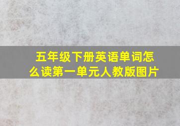 五年级下册英语单词怎么读第一单元人教版图片