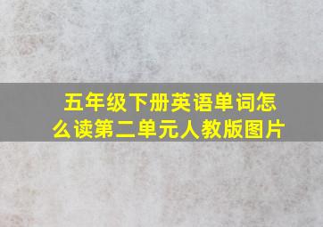 五年级下册英语单词怎么读第二单元人教版图片