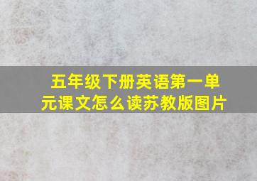 五年级下册英语第一单元课文怎么读苏教版图片