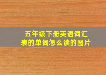 五年级下册英语词汇表的单词怎么读的图片