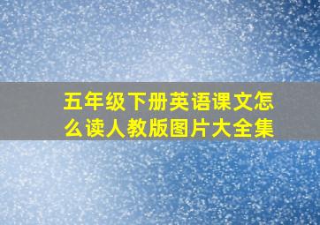 五年级下册英语课文怎么读人教版图片大全集