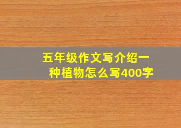 五年级作文写介绍一种植物怎么写400字