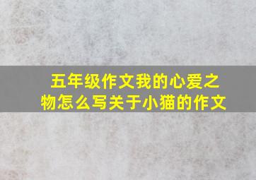 五年级作文我的心爱之物怎么写关于小猫的作文