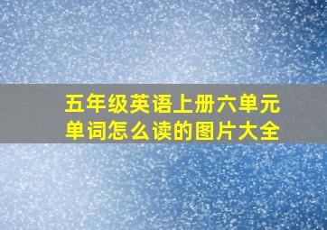 五年级英语上册六单元单词怎么读的图片大全