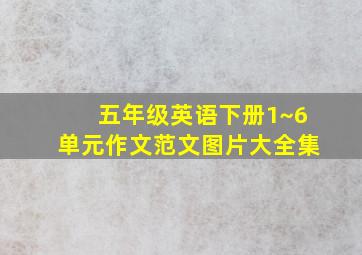 五年级英语下册1~6单元作文范文图片大全集