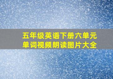 五年级英语下册六单元单词视频朗读图片大全