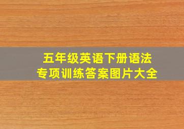 五年级英语下册语法专项训练答案图片大全