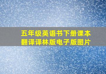 五年级英语书下册课本翻译译林版电子版图片