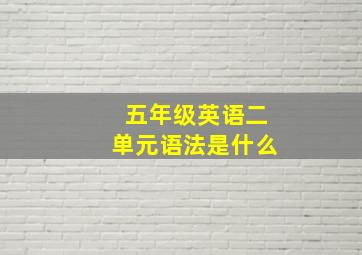 五年级英语二单元语法是什么