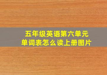 五年级英语第六单元单词表怎么读上册图片