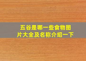 五谷是哪一些食物图片大全及名称介绍一下