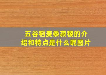 五谷稻麦黍菽稷的介绍和特点是什么呢图片