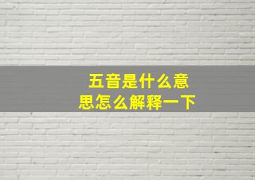 五音是什么意思怎么解释一下