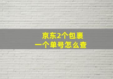 京东2个包裹一个单号怎么查