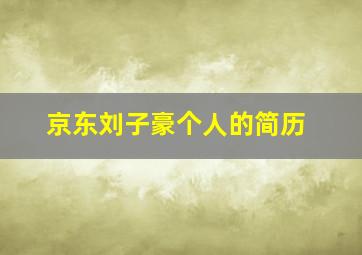 京东刘子豪个人的简历