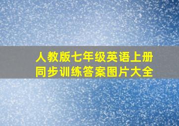 人教版七年级英语上册同步训练答案图片大全