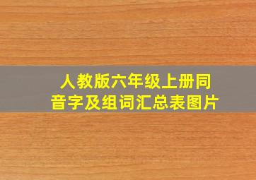 人教版六年级上册同音字及组词汇总表图片