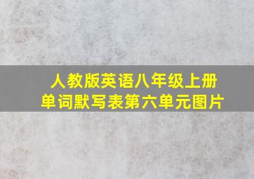 人教版英语八年级上册单词默写表第六单元图片