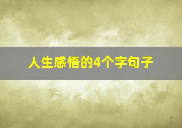 人生感悟的4个字句子