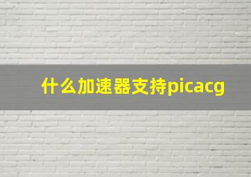 什么加速器支持picacg