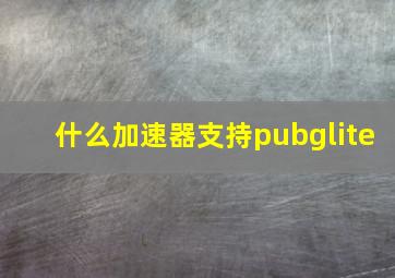 什么加速器支持pubglite