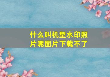 什么叫机型水印照片呢图片下载不了