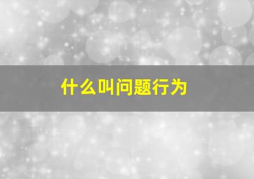 什么叫问题行为